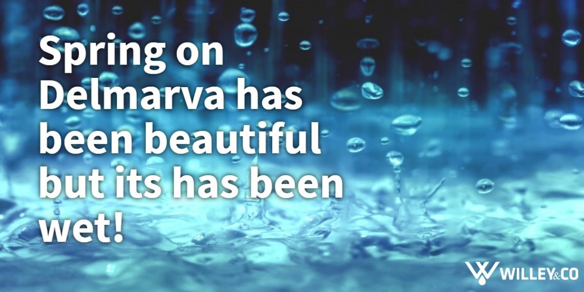 banner-2019-06-18T145225-173-5d094f218fc1d-1140x570
