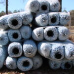 DSC02197-170120-58823dce0eac5