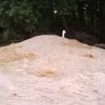 IMAG0775-170120-58823e46837af