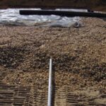 Sand Mound stone installation :: We are installing the stone, pipe, and typar. Typar is used to keep the stone clean of any dirt.