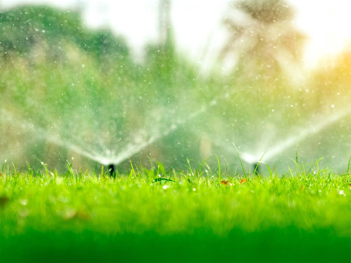 lawn irrigation