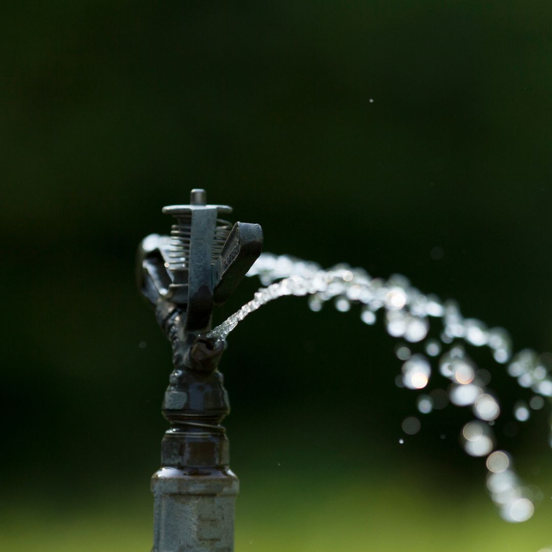 close-up of an irrigation sprinkler