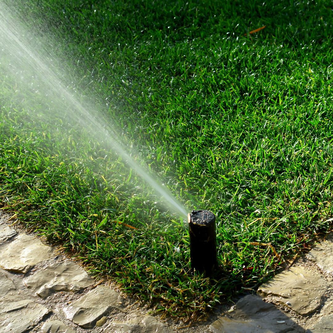 lawn sprinkler