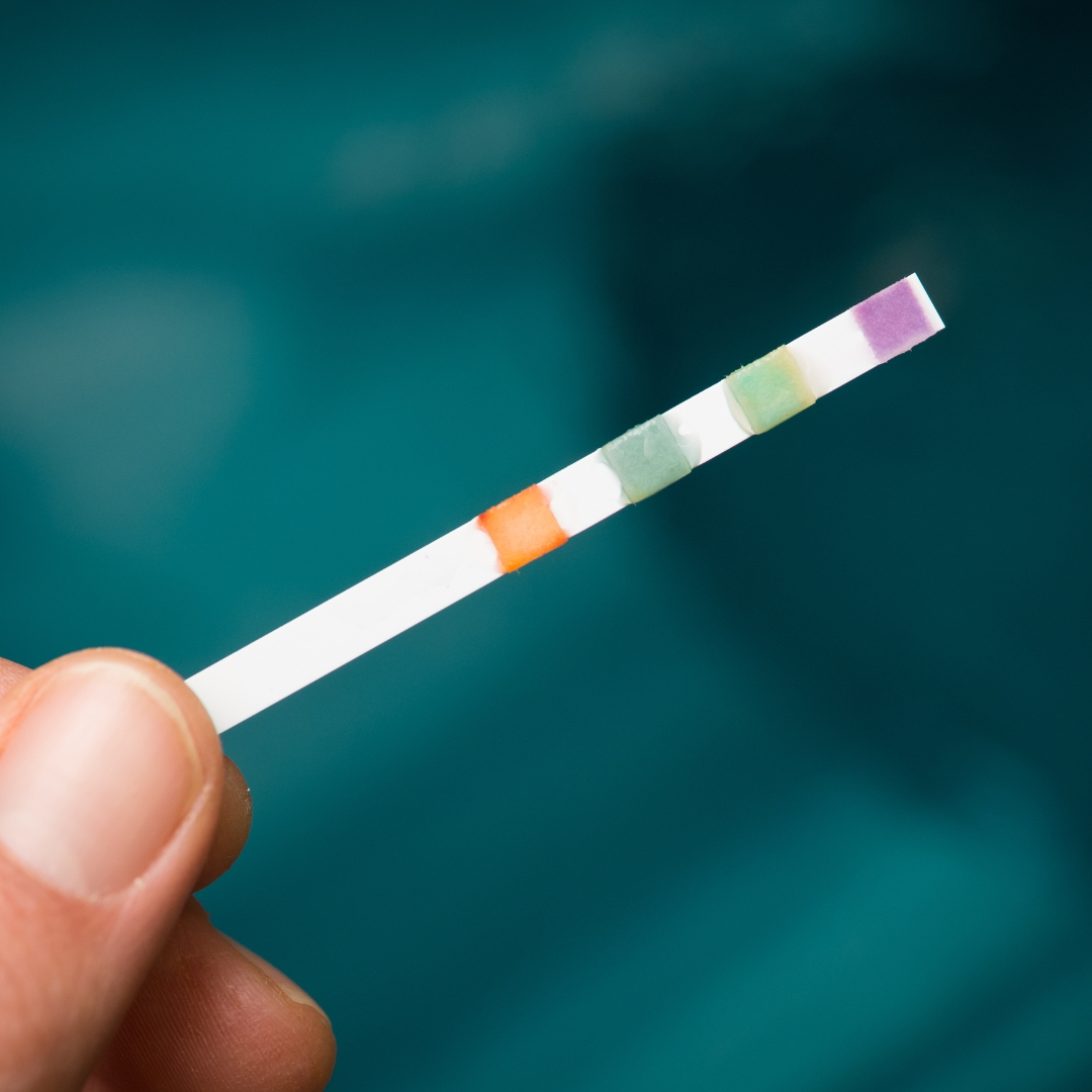 ph testing strip in water